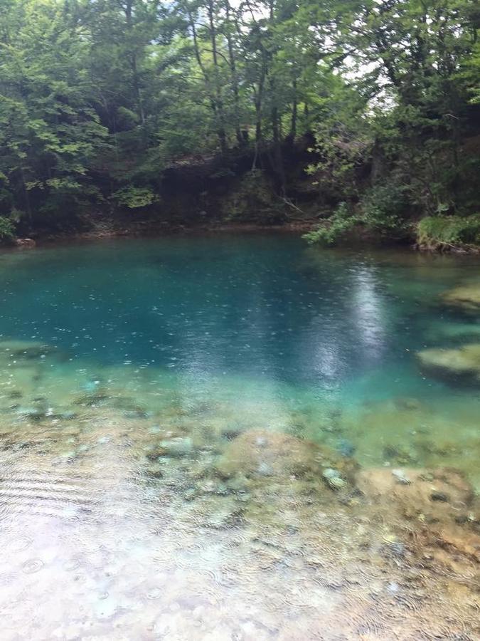 Apartmani Alo Alo Plav Bagian luar foto