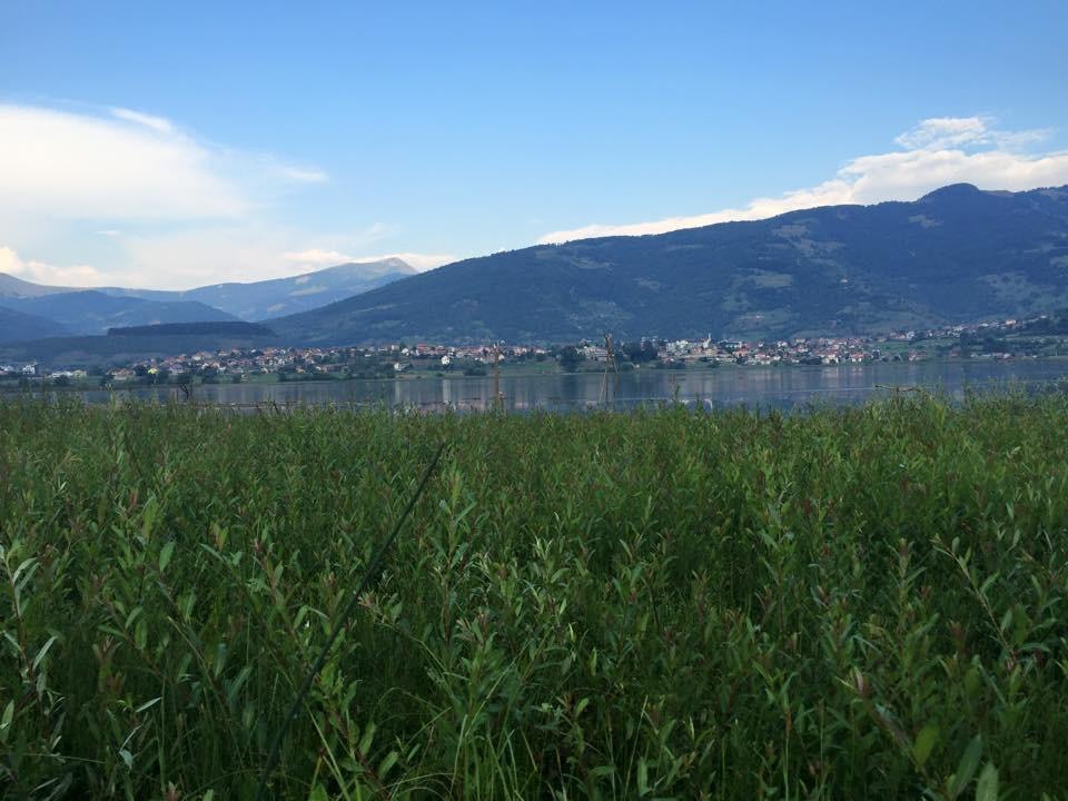 Apartmani Alo Alo Plav Bagian luar foto