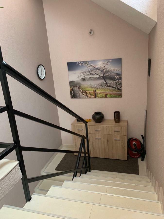 Apartmani Alo Alo Plav Bagian luar foto