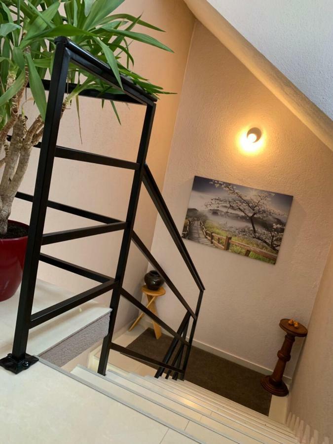 Apartmani Alo Alo Plav Bagian luar foto