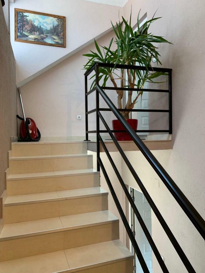 Apartmani Alo Alo Plav Bagian luar foto